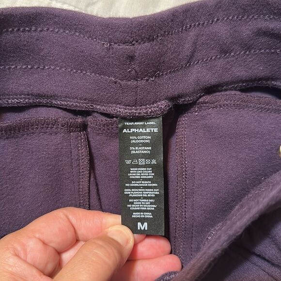 ALPHALETE M Identity Deep Purple Plum Brushed Cotton Jogger Athletic Pants - Picture 11 of 13